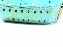 Hogan's Beach Shop WWE Replica Signed Blue Winged Eagle Championship Title Belt -Hogan's Beach Shop Sales 20191224 112413