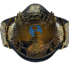 Hogan's Beach Shop WWE Winged Eagle Dual Plated Championship Replica Title Signed 2 Hogan's Beach Shop WWE Winged Eagle Dual Plated Championship Replica Title Signed -Hogan's Beach Shop Sales 2tone1