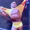 Hogan's Beach Shop Hulk Hogan Ripping Shirt Signed 16x20 -Hogan's Beach Shop Sales IMG 0599