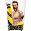 Hogan's Beach Shop Sheamus WWE Pint Glass -Hogan's Beach Shop Sales Sheamus Tumbler Glass