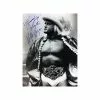 Hogan's Beach Shop Hulk Hogan Signed Thunderlips Black And White Photo -Hogan's Beach Shop Sales Signed Thunderlips Black and White Poster c7ec5a84 b368 4239 bb0b fa6e5a9487b8