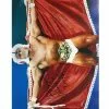 Hogan's Beach Shop Hulk Hogan Signed Thunderlips Cape Photo -Hogan's Beach Shop Sales Signed Thunderlips poster