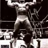 Hogan's Beach Shop Hulk Hogan Signed Nick Bockwinkel Defeat 8x10 Photo -Hogan's Beach Shop Sales Vintage Black White BockWinkle Defeat Autographed Photo