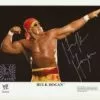 Hogan's Beach Shop Hulk Hogan Signed WWE Bow & Arrow 8x10 Photo 2 Hogan's Beach Shop Hulk Hogan Signed WWE Bow & Arrow 8x10 Photo -Hogan's Beach Shop Sales WWE Bow and Arrow Autographed Photo