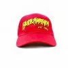 Hogan's Beach Shop Hulkamania FlexFit Baseball Hat -Hogan's Beach Shop Sales hogansbeachshop pp 245