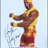 Hogan's Beach Shop Original WCW Hulk Hogan 8x10 -Hogan's Beach Shop Sales image 1